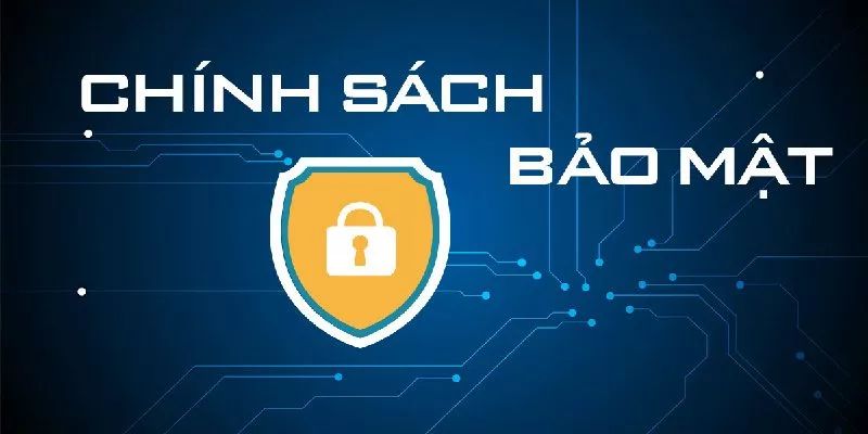 Chính sách bảo mật Win 79